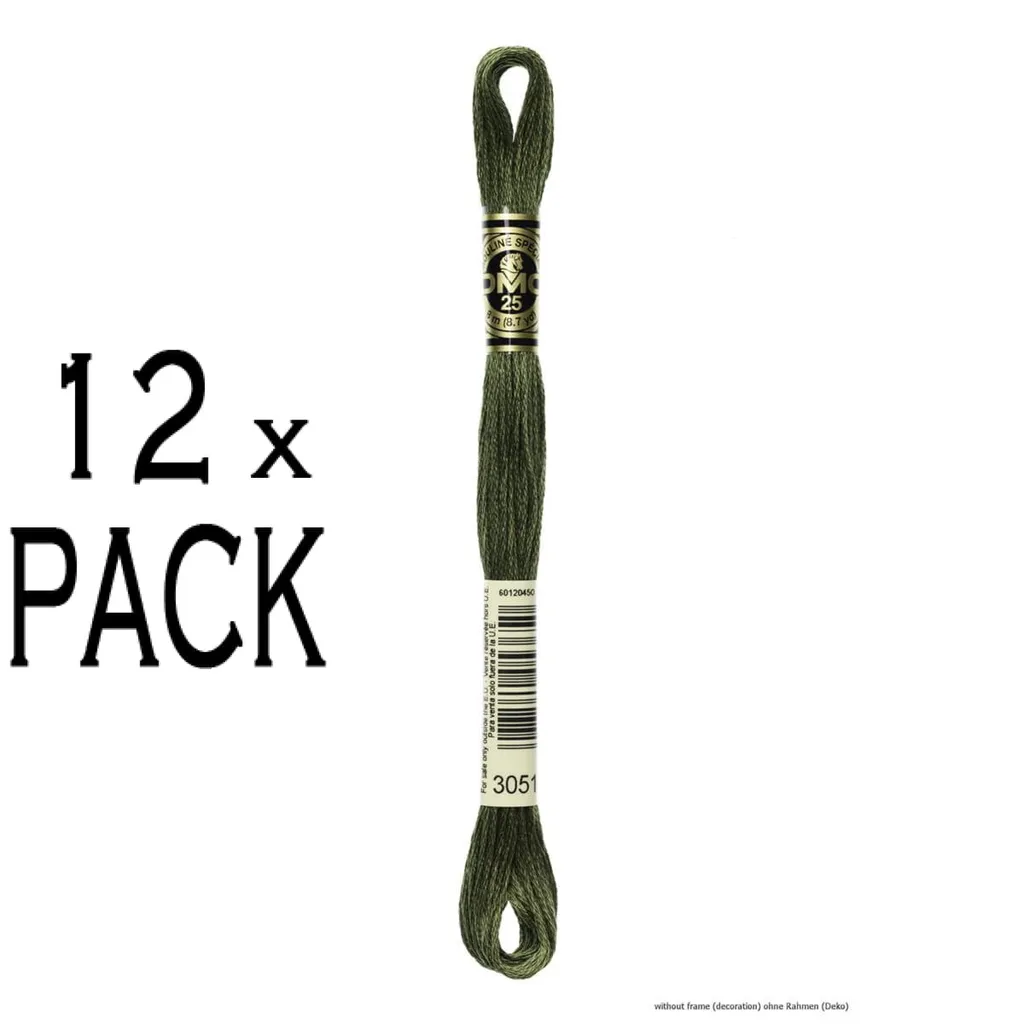 12x DMC Filo per Ricamo Mouline Special 117mc 3051 Verde Grigio 8m