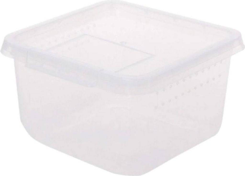 Terrario Insect Box Compact 12x12x7cm Terrario Image du produit 