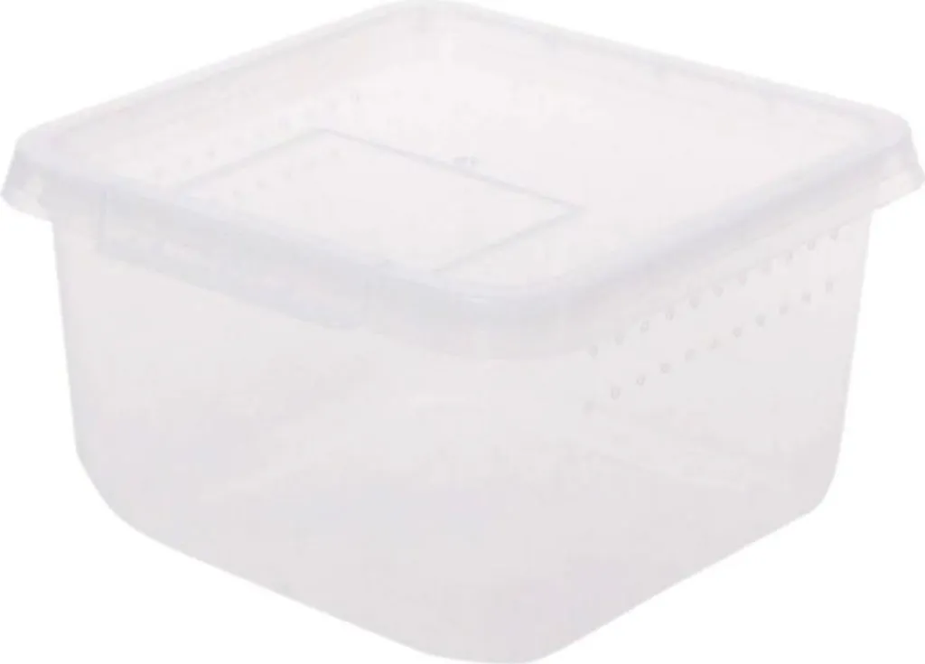 Boîte Insecte 12x12x7cm Terrario avec Micro-Ventilation et Transparence