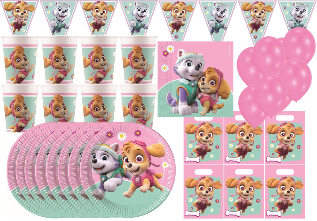 Paw Patrol Skye - Kindergeburtstags-Set (68-teilig) Teller Produktbild 