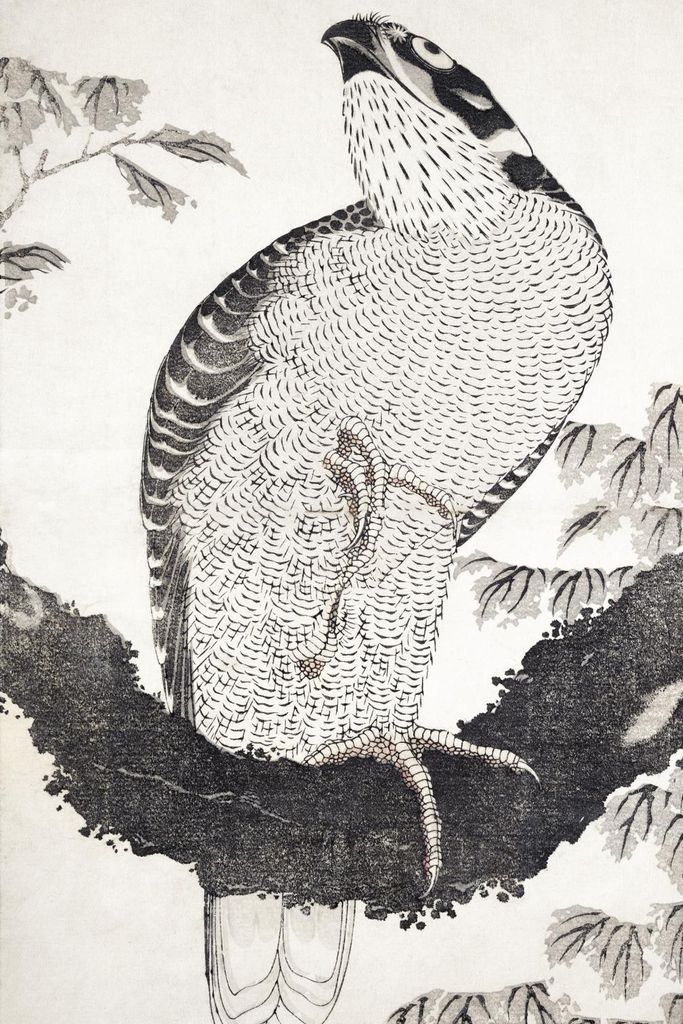 Poster 20x30cm Vogel, Hokusai Japanisch Vintage für das Wohnzimmer