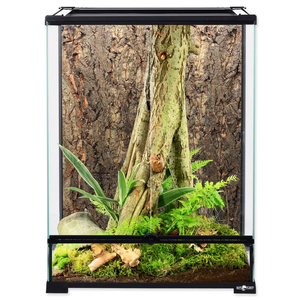 Terrarium 45 x 45 x 60 cm 1 pc Image du produit 