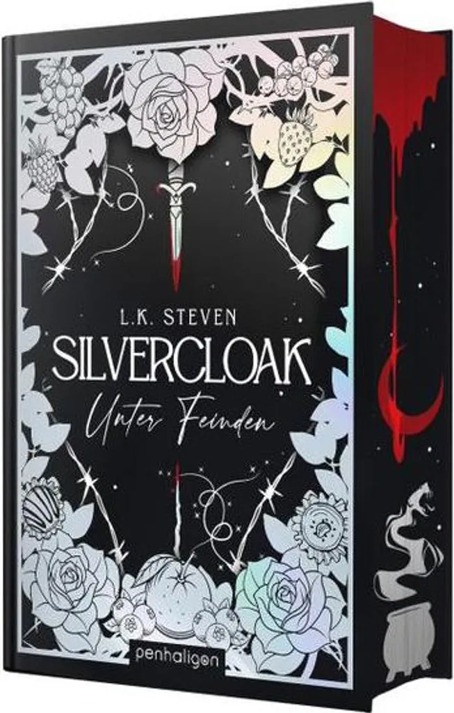 Livre Silvercloak Saga Tome 1 roman fantasy Unter Feinden en allemand