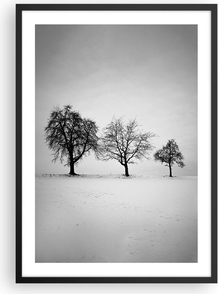 Gerahmtes Poster - Schwarzer Rahmen - Winter Bäume Schnee - 50x70 cm - Wand Bild - Wanddeko - Wandbilder - Kunstposter - Wandposter - Bilderrahmen...