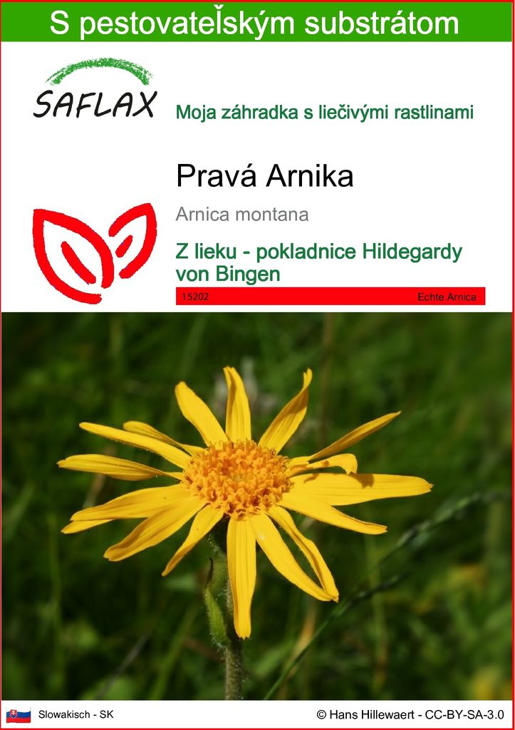 SAFLAX - Pravá Arnika - Arnica montana - 40 Semená - S Obrázok produktu 