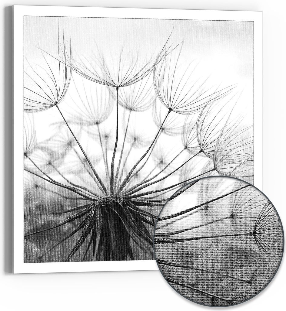 DEQORI Hybrid Leinwand Bild 50x50 cm 'Pusteblume Nahaufnahme' Wandbild Glas flach modern