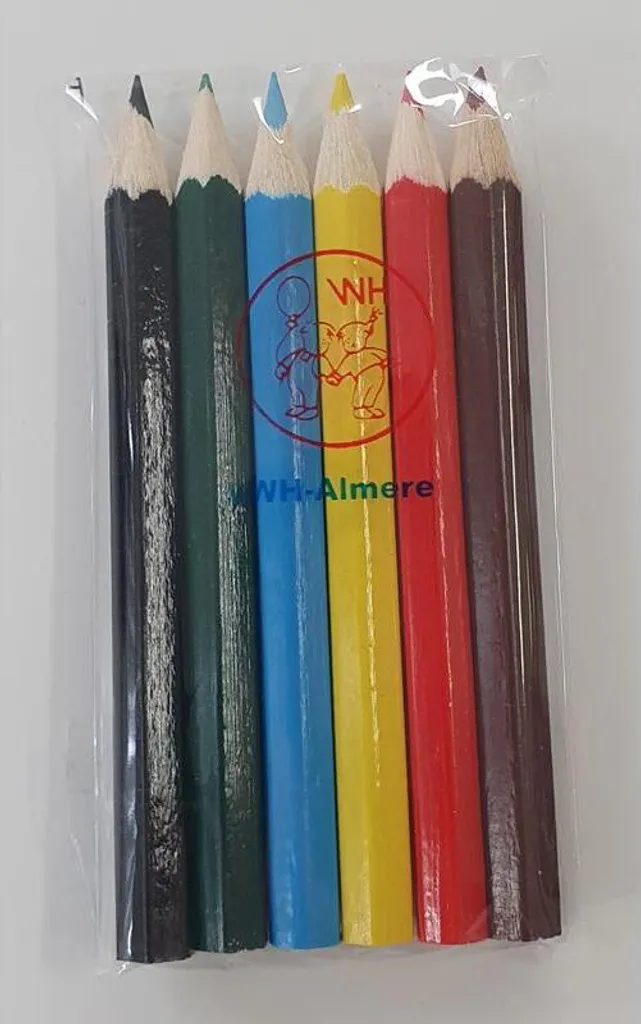 Crayons de Couleur Mini pour Coloriage Voyage et Activités Scolaires - 24