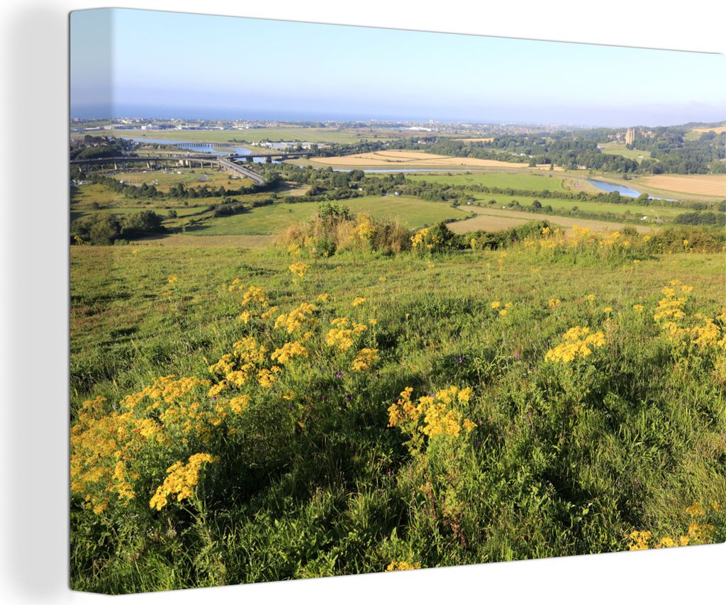 OneMillionCanvasses - Leinwandbilder - 140x90 cm, Gelbes Gestrüpp in der Landschaft des South Downs National Park, Wandbilder Kunstdruck Wanddek...