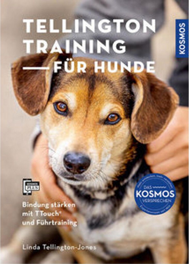Tellington-Training für Hunde: Bindung stärken mit TTouch
