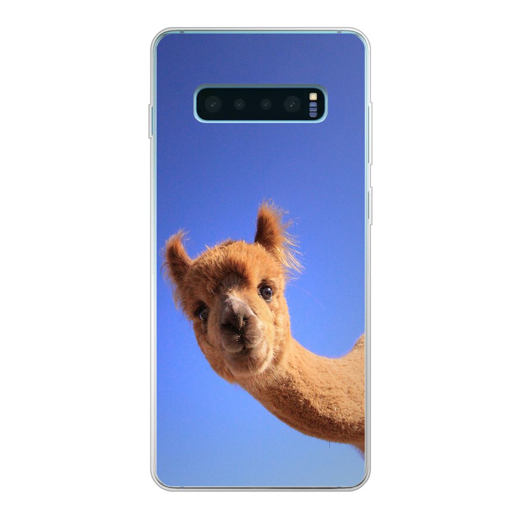 MuchoWow Handyhülle Schutzhülle Hülle für Samsung Galaxy S10 Plus Alpaka - Braun - Blau Silikon Softcase Handy Hülle - Schutzhülle