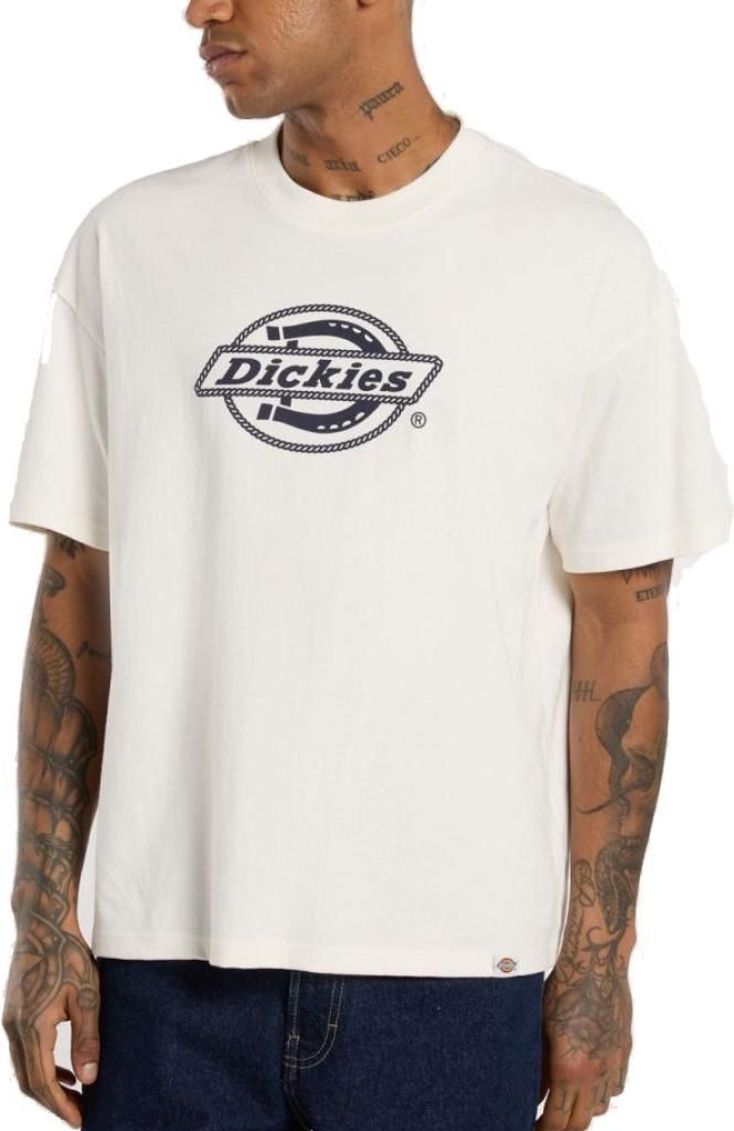 Dickies T-shirt DK0A87QSC481-2FW5 in nan color size small
