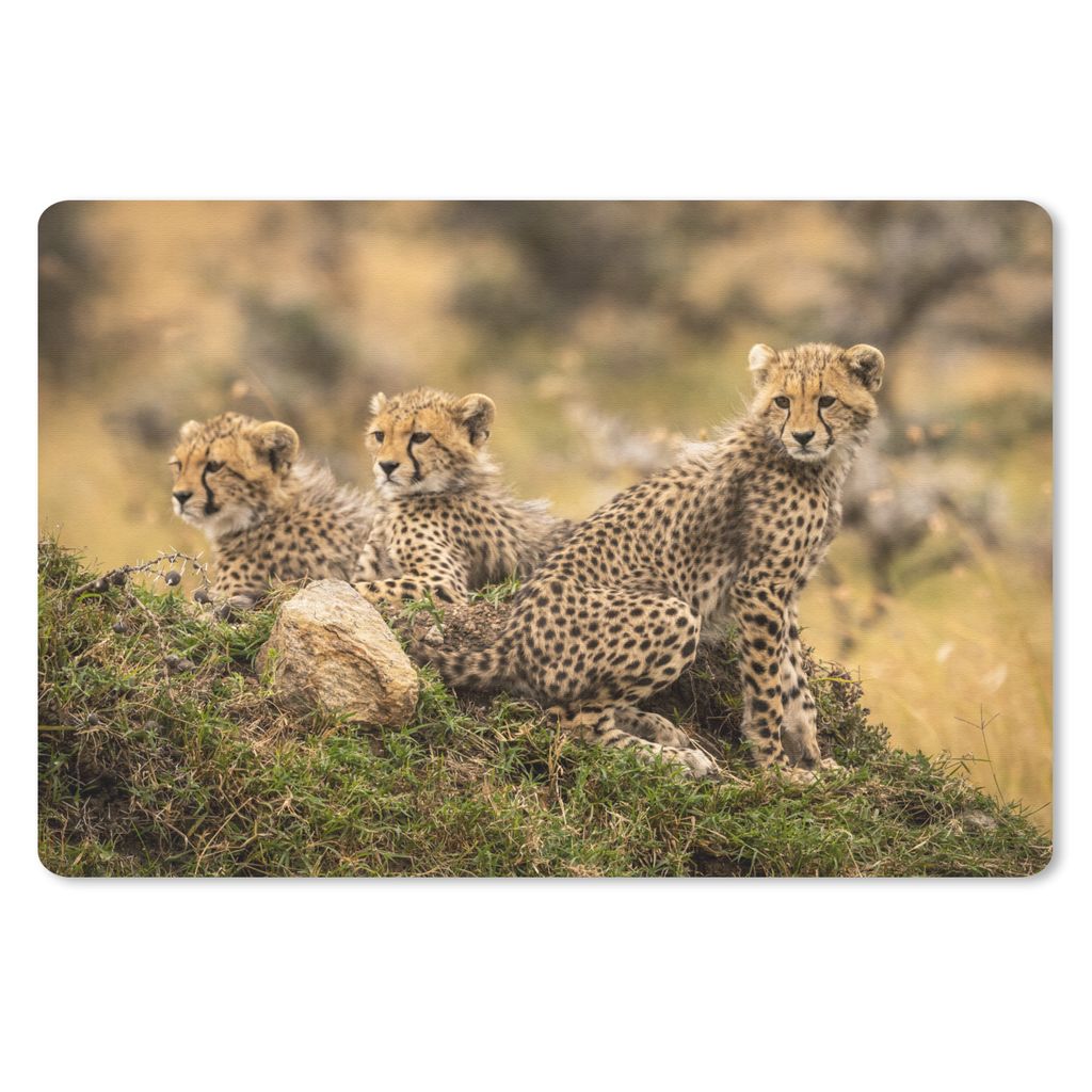MuchoWow Schreibtischunterlage Leopard - Wald - Tier 60x40 cm - XXL Mauspad - Großes Mauspad