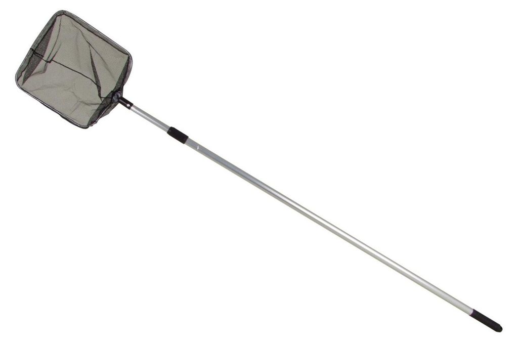 Epuisette de bassin Manche télescopique Epuisette de pêche Image du produit 