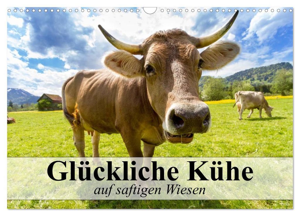 Glückliche Kühe auf saftigen Wiesen (Wandkalender 2027 DIN A3 quer), CALVENDO Monatskalender