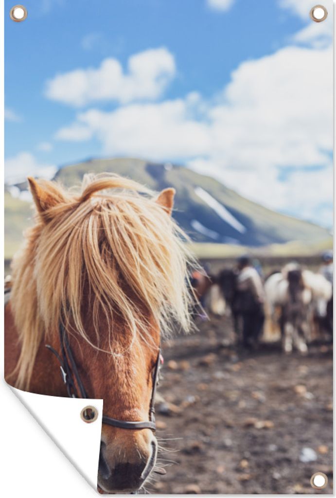 MuchoWow 40x60 cm Outdoor-Poster Gartendeko Sichtschutz Garten Poster für den Garten Ein Pferd steht vor dem Vulkan Hekla in Island
