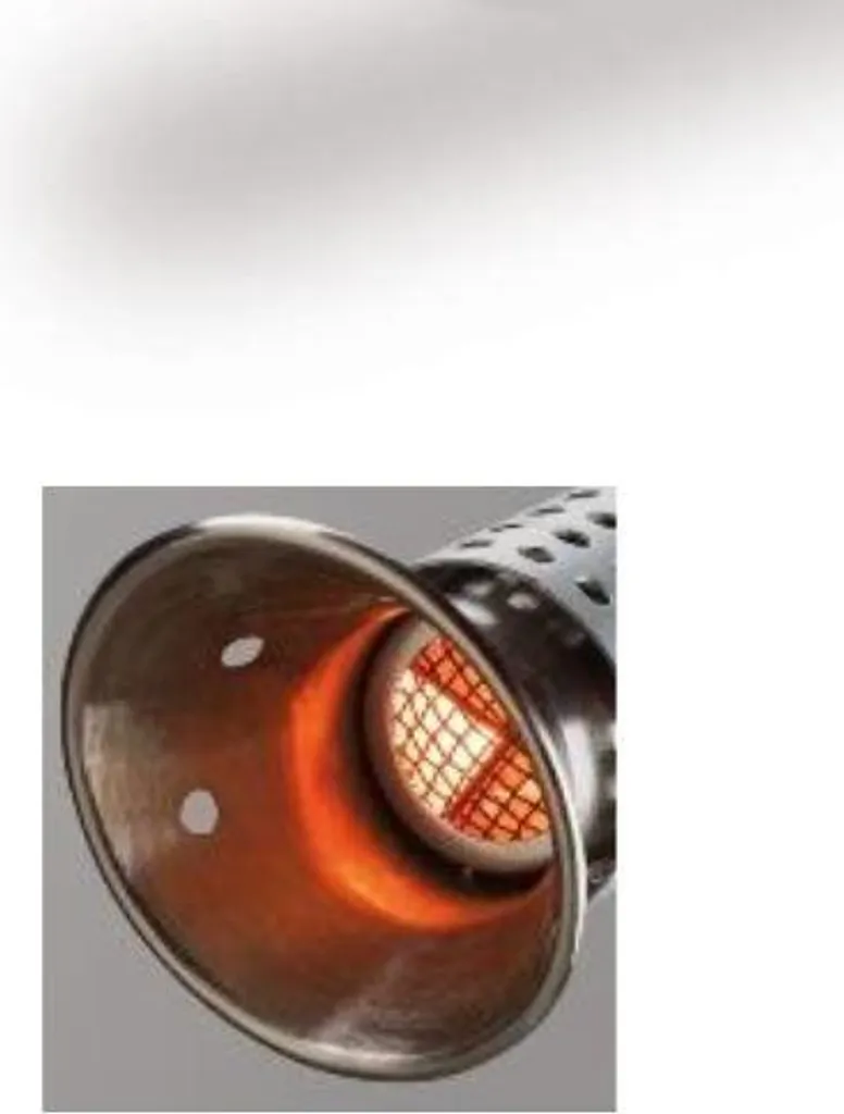 Désherbeur 2000W thermique électrique Kemper : Puissance et double buse