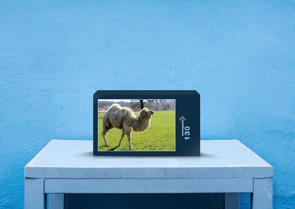 hansepuzzle 69438 - Dromedar Puzzle, 130 Teile, Tierwelt, 28,7 x 20,0cm mit hochwertiger Aufbewahrung, Kartonbox und wiederverschließbarem Beutel