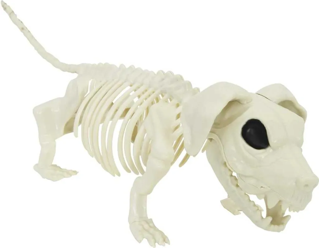 Squelette Halloween 2 pcs robuste en polypropylène pour une déco durable