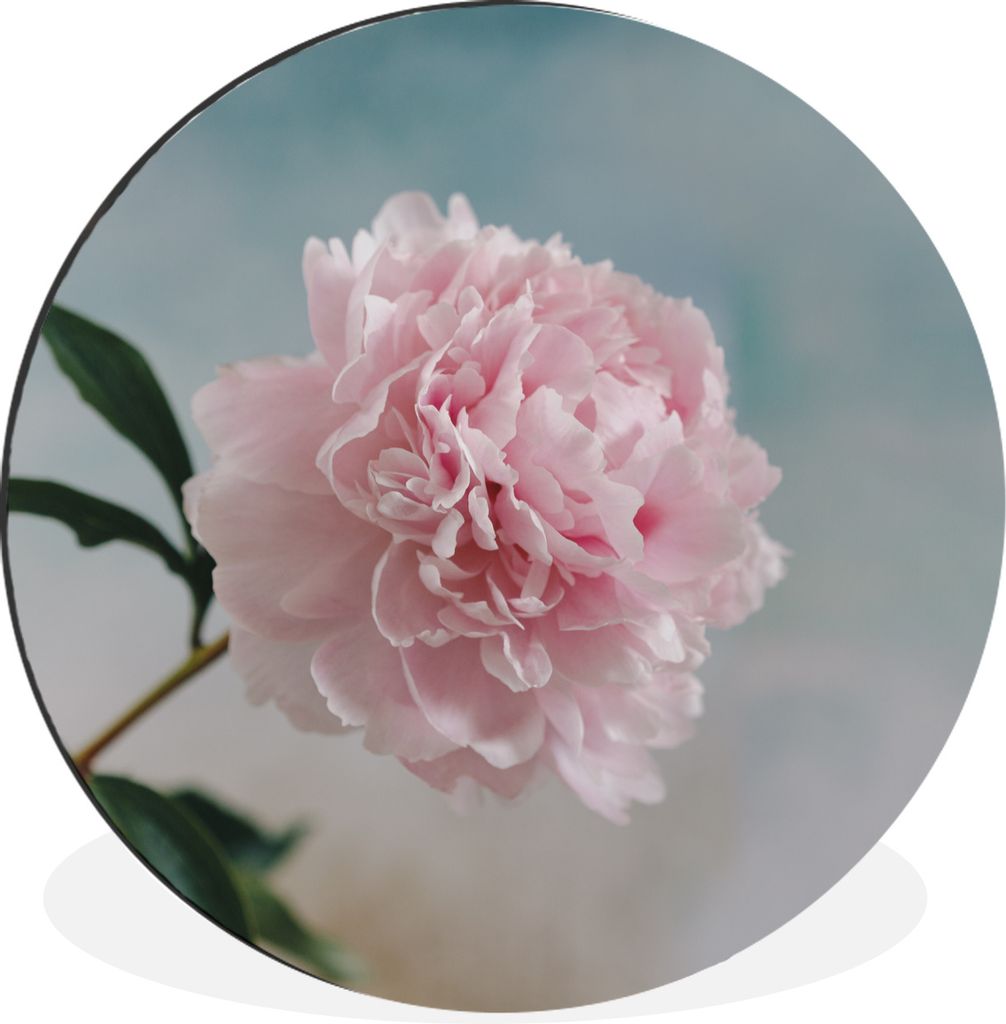 MuchoWow Aluminium Wandkreis Rosa Pfingstrose auf grauem Hintergrund Ø 30 cm Wanddeko Modern Wohnzimmer - Wand Bild - Wohnzimmer - Runde Bilder ...
