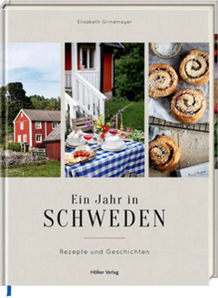 Livre pour préparer un voyage en Suède Ein Jahr in Schweden guide
