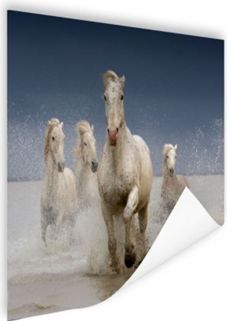 MuchoWow Poster Pferde - Wasser - Schlamm 120x90 cm - Wandbild