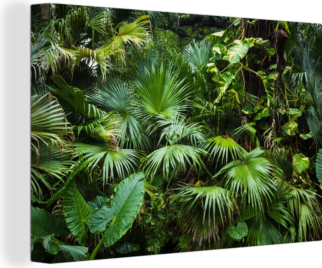 OneMillionCanvasses - Leinwandbilder - 150x100 cm, Palmwedel - Sonne - Tropisch, Wandbilder Kunstdruck Wanddekoration