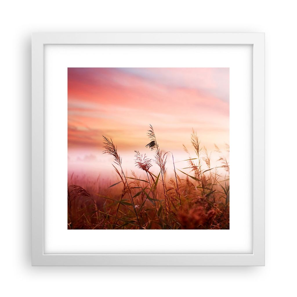 Gerahmtes Poster - Weißer Rahmen - Wiese Getreide Natur - 30x30 cm - Wand Bild - Wanddeko - Wandbilder - Kunstposter - Wandposter - Bilderrahmen -...