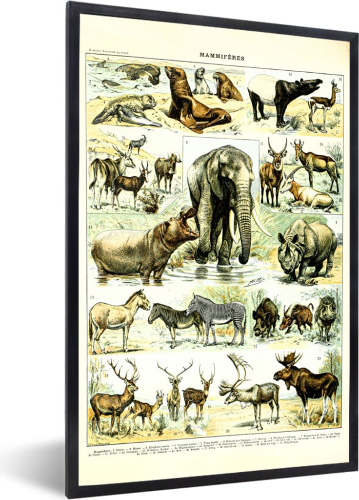 MuchoWow Gerahmtes Poster Tiere - Elefanten - Hirsche 60x90 cm - Poster mit Schwarzem Bilderrahmen Wandposter Rahmen Foto Bilder - Kunst