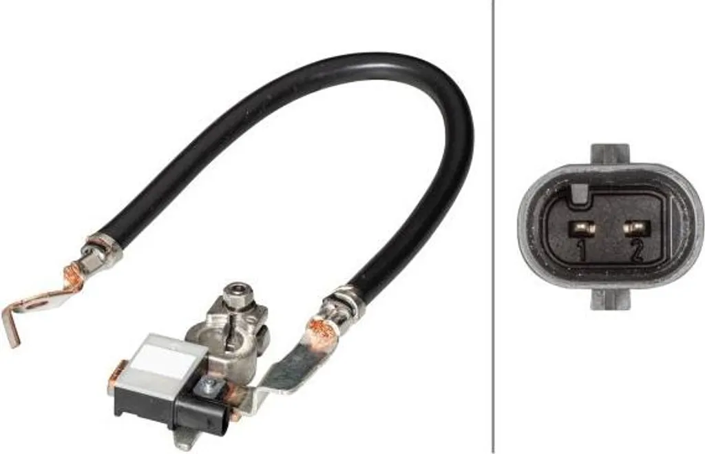 Capteur intelligent de gestion de batterie 12V pour Ford Transit Kuga