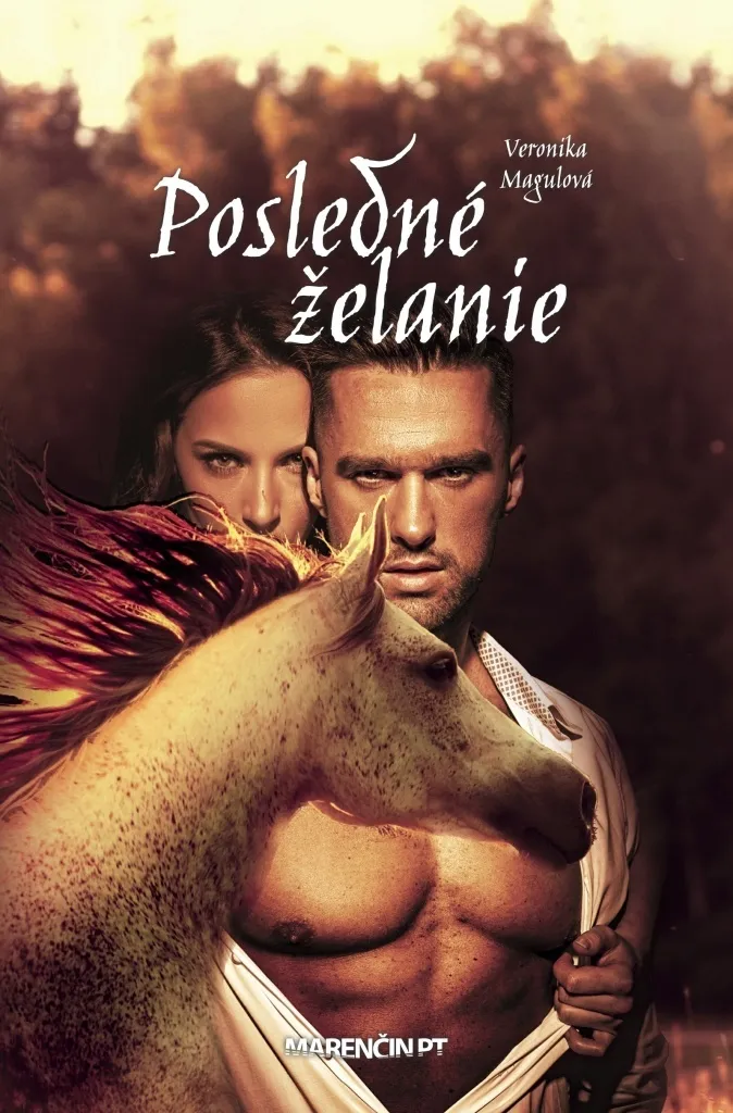 Posledné želanie de Magulová - Idée cadeau pour passionnés de littérature