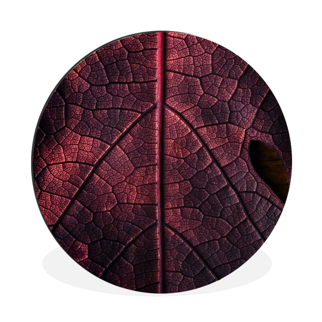 MuchoWow Aluminium Wandkreis Abstrakt - Rot - Blätter - Pflanze Ø 90 cm Wanddeko Modern Wohnzimmer - Mauerkreis - Wandbilder - Runde Bild - Bil...