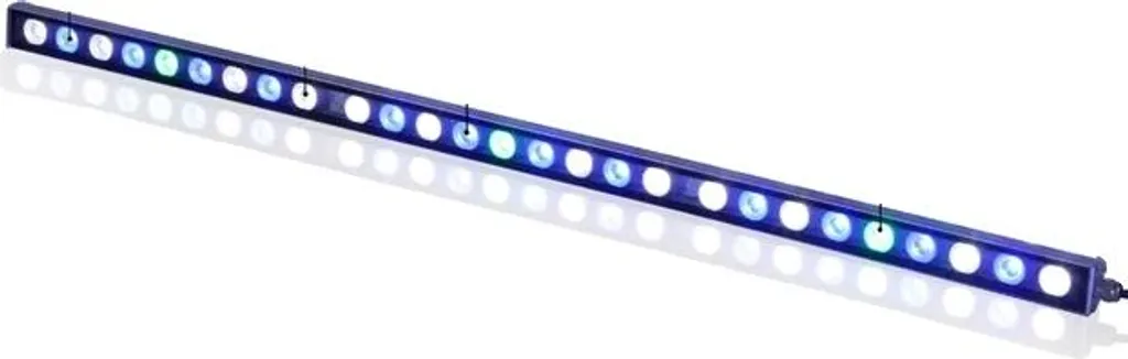 Projecteur LED Bassin Extérieur Étanche IP68 - Lumière Blanche et Bleue