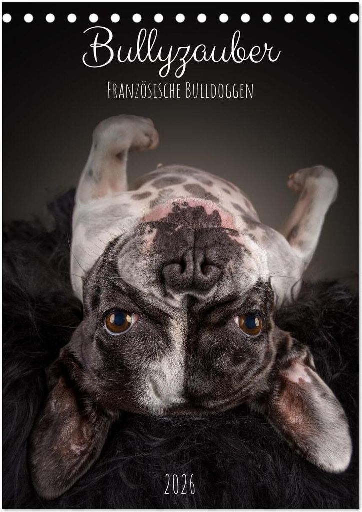Bullyzauber - Französische Bulldoggen (Tischkalender 2026 DIN A5 hoch), CALVENDO Monatskalender