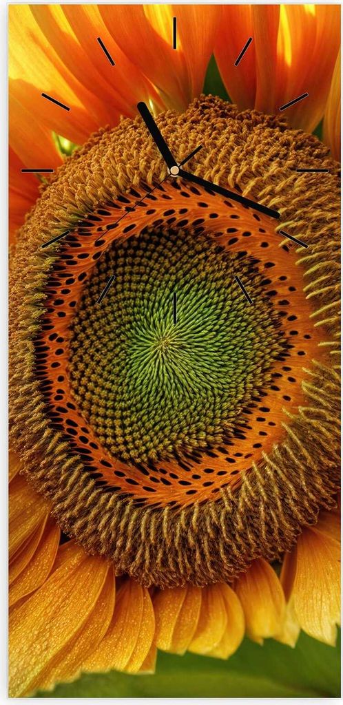 Wanduhr aus Glas mit Motiv Sonnenblume Makro- 30 x 60 cm - inkl. Aufhängesystem