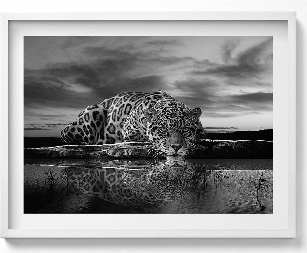 Schwarzer und weißer Leopard als Wildtier– Wandbild mit Rahmen – Gerahmtes Bild – Wanddekoration – 80x60 cm – Weiß Rahmen