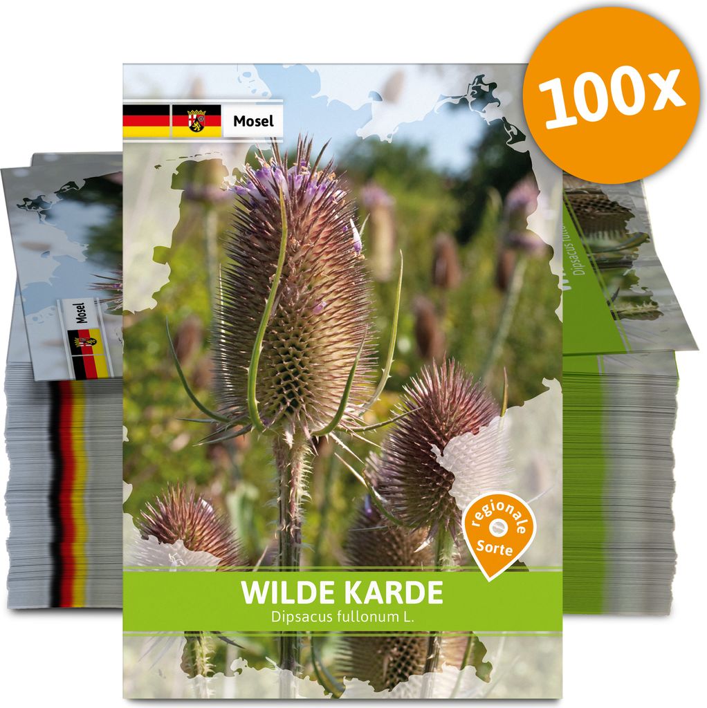 Wilde Karde (Regionale Sorte Mosel) (100 Tütchen) | Saatgut für Werbezwecke von FLORTUS