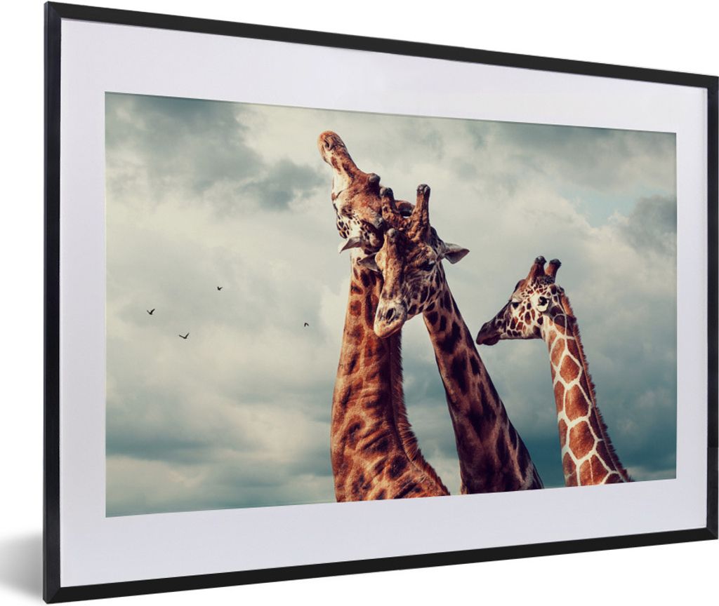 MuchoWow Gerahmtes Poster Drei Giraffen unter einem bewölkten Himmel 60x40 cm - Poster mit Schwarzem Bilderrahmen Wandposter Rahmen Foto Bilder ...