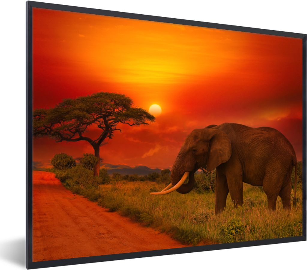 MuchoWow Gerahmtes Poster Elefant - Sonnenuntergang - Orange - Savanne - Tiere 80x60 cm - Poster mit Schwarzem Bilderrahmen Wandposter Rahmen Fot...