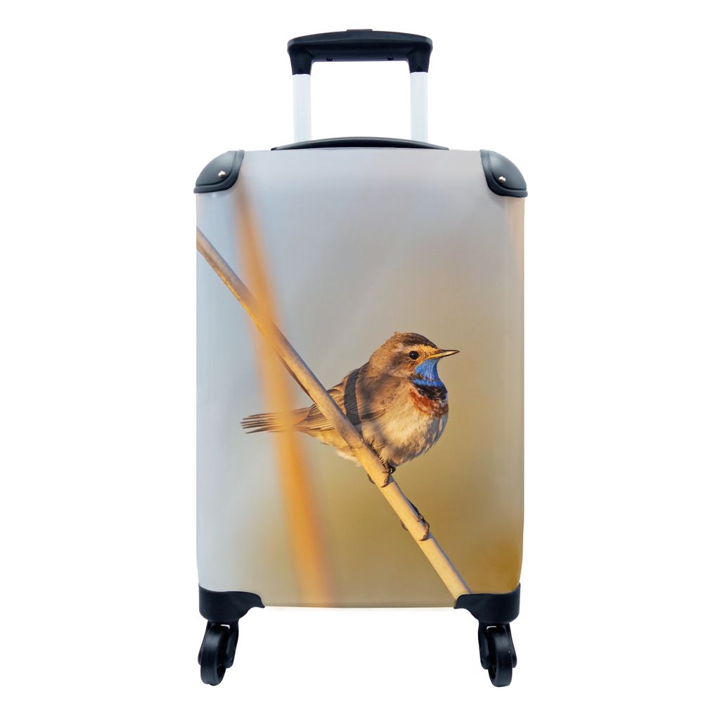 MuchoWow Koffer Handgepäck Trolley Rollkoffer Kleine Reisekoffer mit 4 Rollen - Vögel - Blaukehlchen - Schilf - Cabin Size < 55x40x23 cm & 55x4...