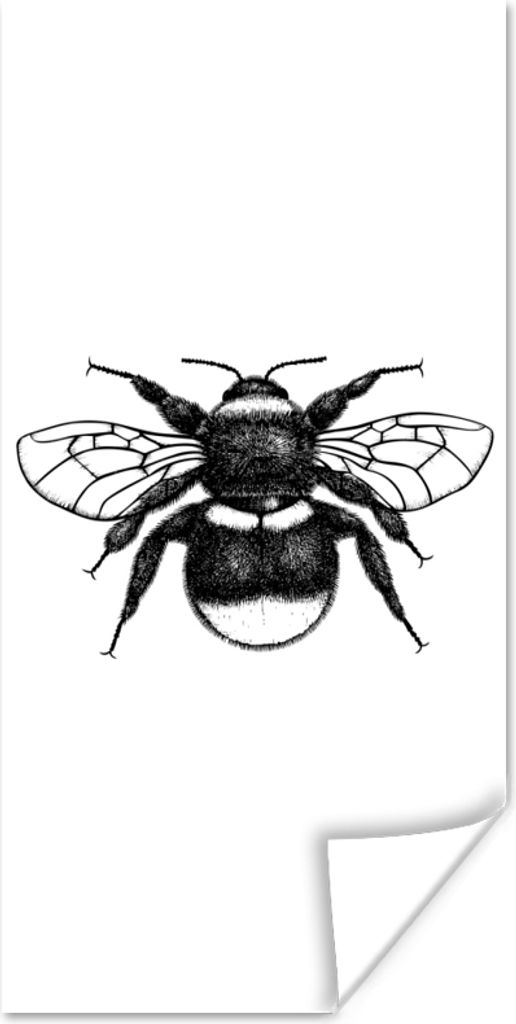 MuchoWow Poster Hummel - Botanisch - Retro - Insekten 20x40 cm - Plakat - Foto