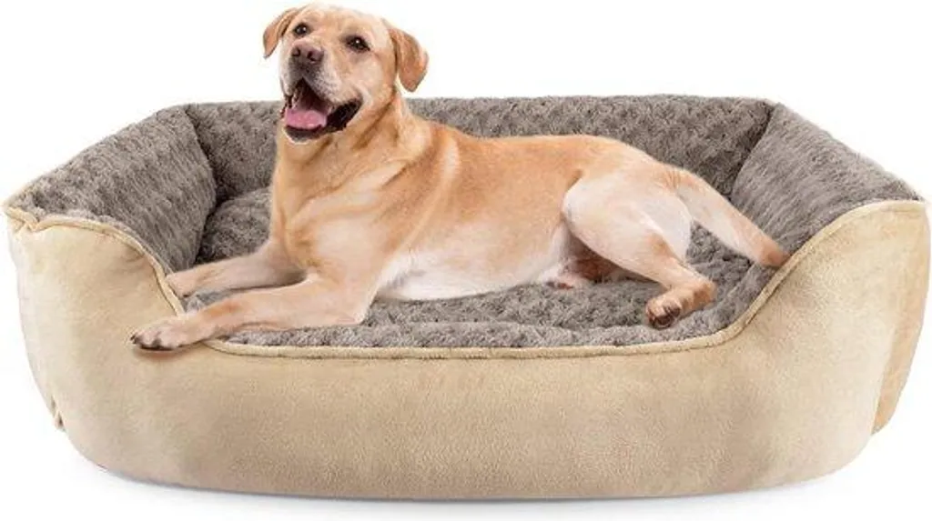 Lit Chien XXL Anti-Glisse Beige - Fini les Tapis qui Glissent et le Mal de Dos