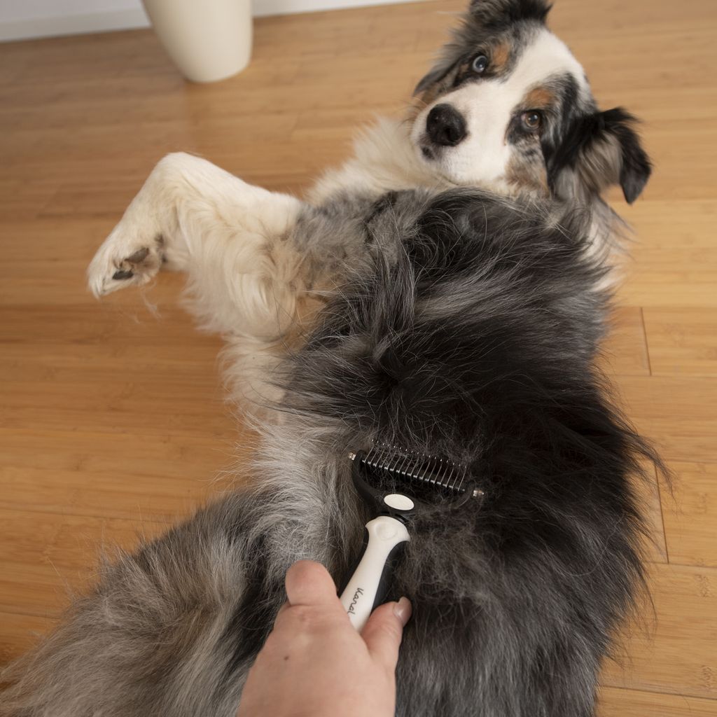 KaraLuna Unterfellbürste für Hunde und Katzen I Löst sanft Produktbild 6