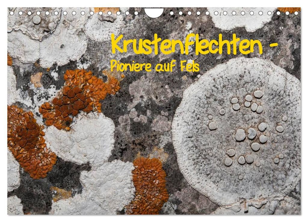 Krustenflechten - Pioniere auf Fels (Wandkalender 2027 DIN A4 quer), CALVENDO Monatskalender