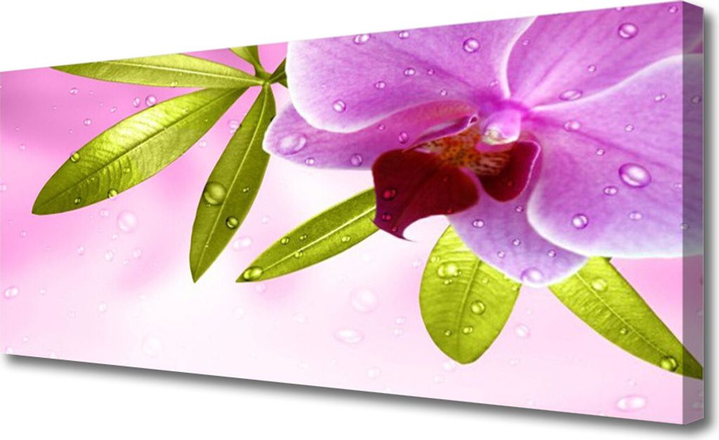 Tulup Leinwand-Bilder 125x50 Wandbild Canvas Kunstdruck Blume Blätter Pflanzen
