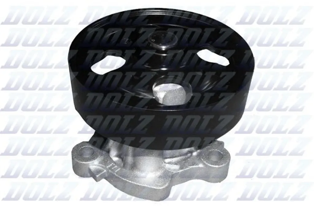 Pompe à eau DOLZ N152 robuste avec turbine haute performance Koleos HY