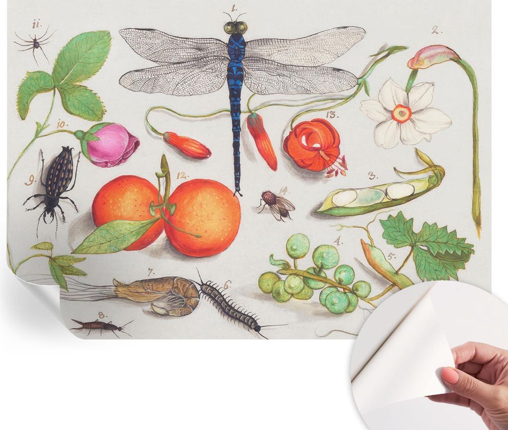 Selbstklebende Wandtapete - Dekorative Tapete für Wohnzimmer - Klebefolie für Wandbilder - Tapetenfolie für Wanddekoration - 312x219 cm - Naturi...