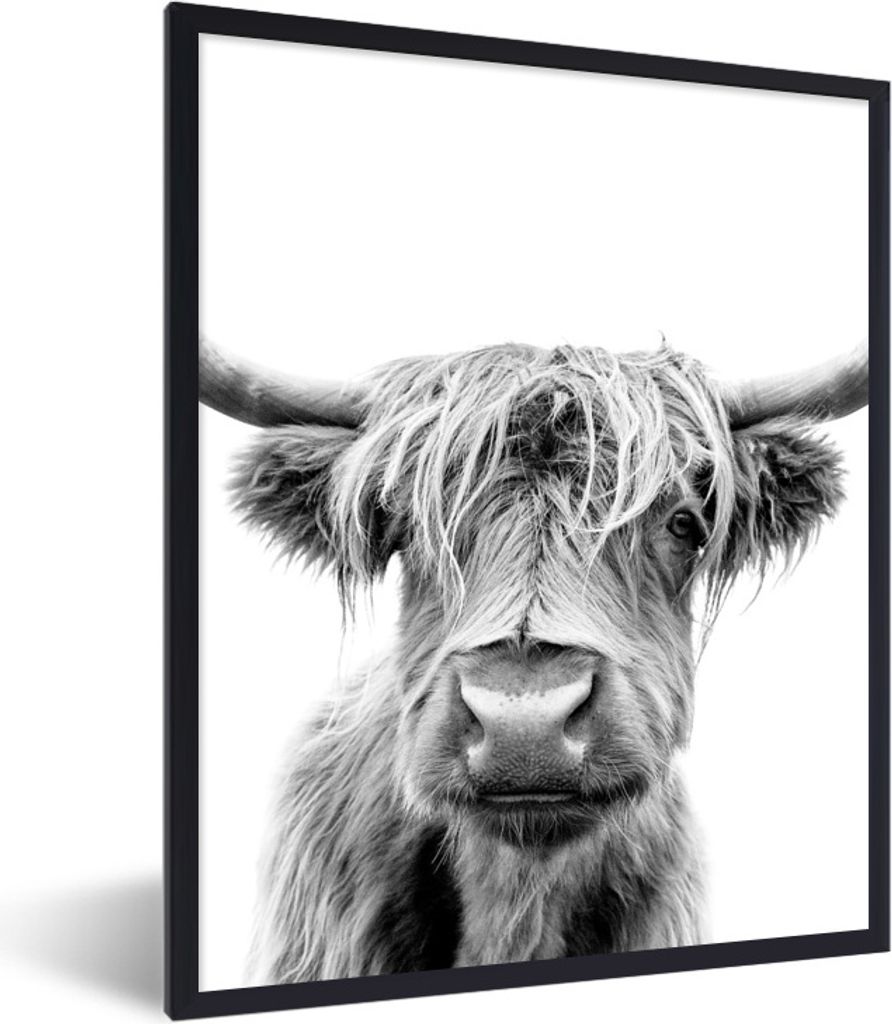 MuchoWow Gerahmtes Poster Kuh - Schottischer Highlander - Schwarz - Weiß 60x80 cm - Poster mit Schwarzem Bilderrahmen Wandposter Rahmen Foto Bil...