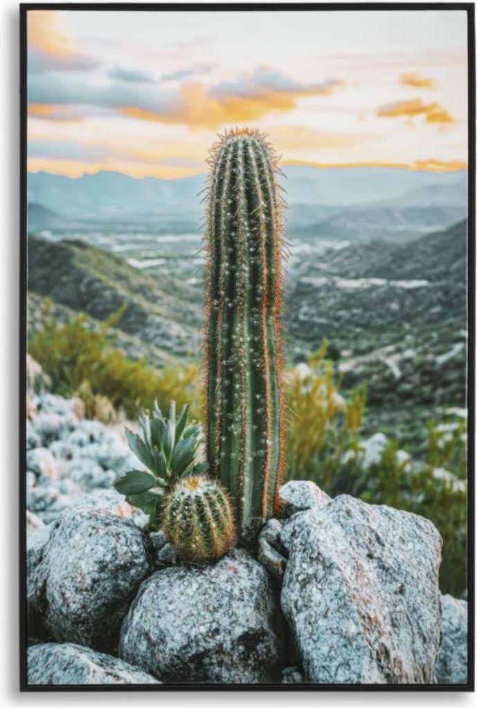 Wandbild Cornice 60 x 90 x 4 cm Metall Pinie Canvas Mehrfarbig