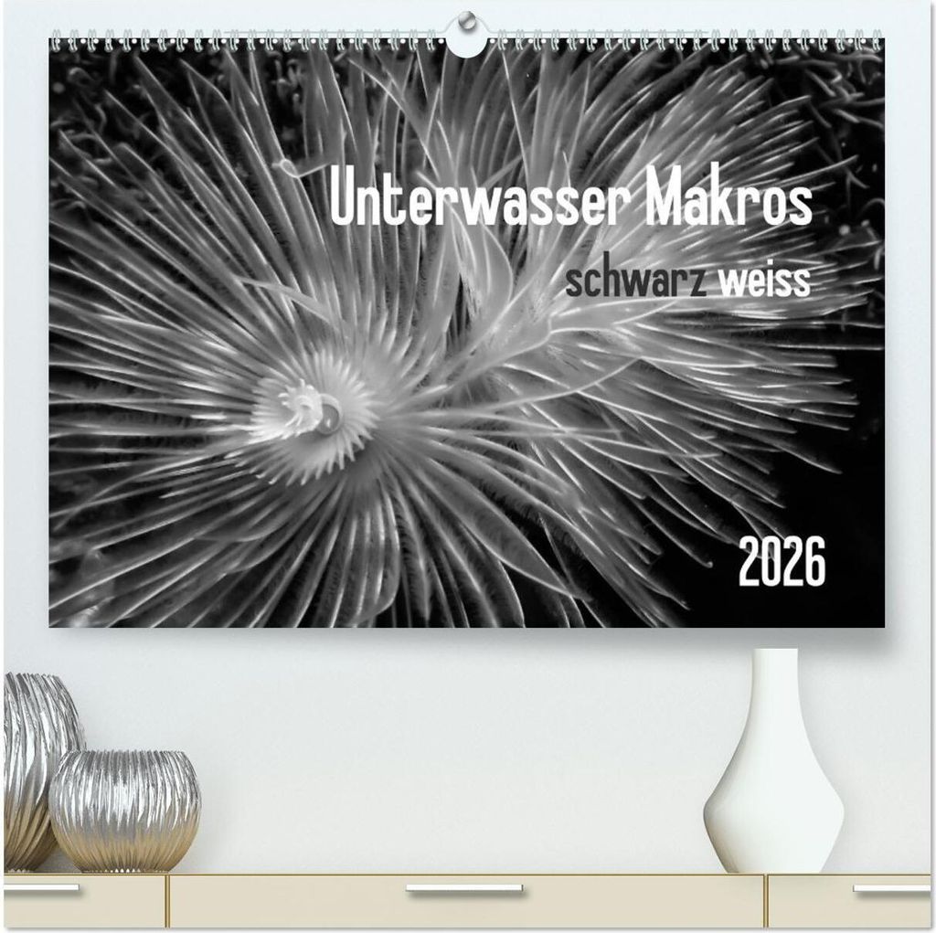 Unterwasser Makros - schwarz weiss 2026 (hochwertiger Premium Wandkalender 2026 DIN A2 quer), Kunstdruck in Hochglanz