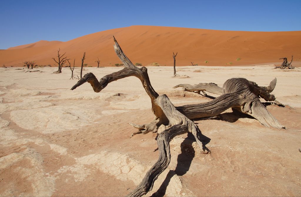 hansepuzzle 79720 - Deadvlei Puzzle, 500 Teile, Natur, 46,0 x 30,0cm mit hochwertiger Aufbewahrung, Kartonbox und wiederverschließbarem Beutel